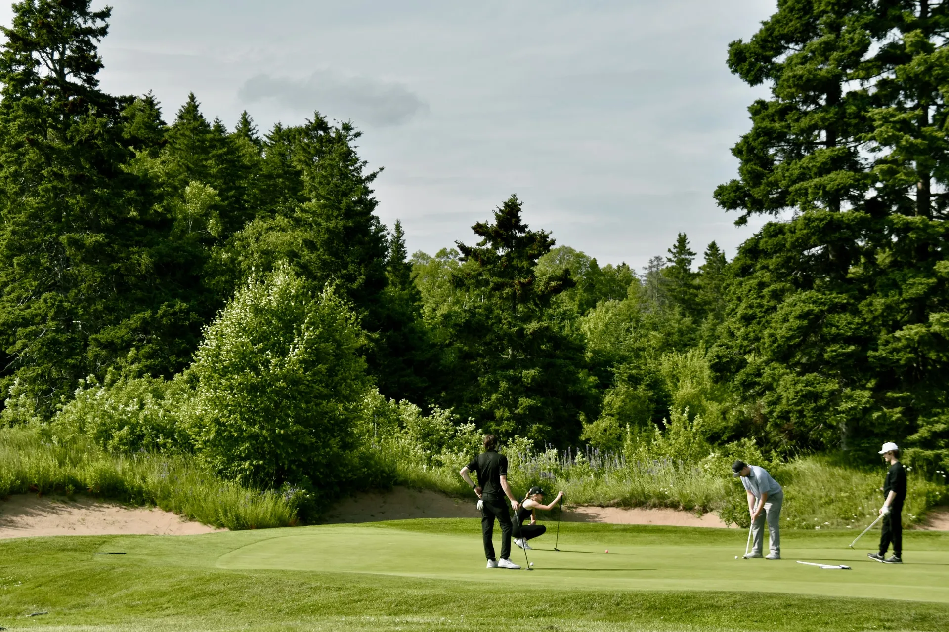 Four golfers on a green beside a sand bunker, with dense evergreens behind them.