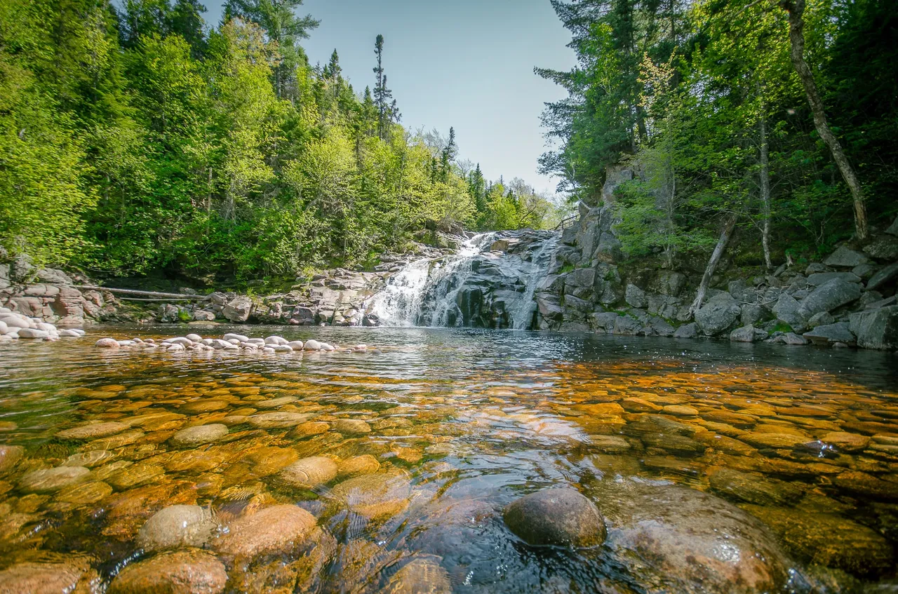 A waterfall spilling over rock into a shallow amber river, framed by spruce forest.