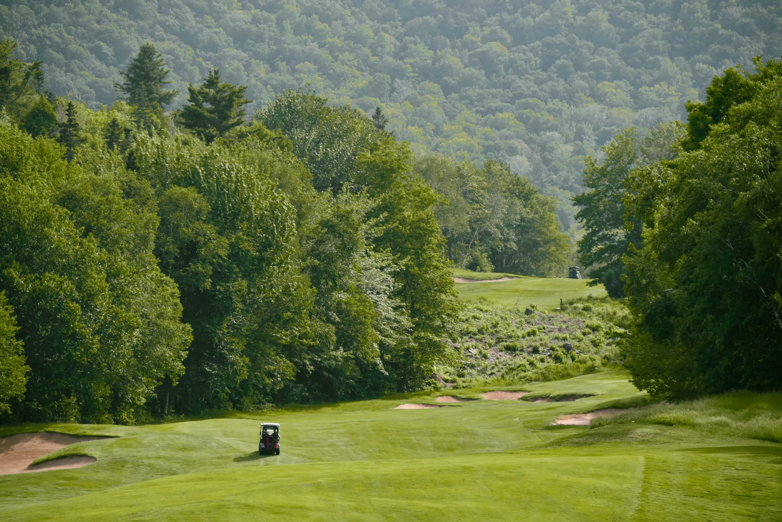 A golf cart on a Highlands Links fairway, with sand bunkers and forested mountains beyond.