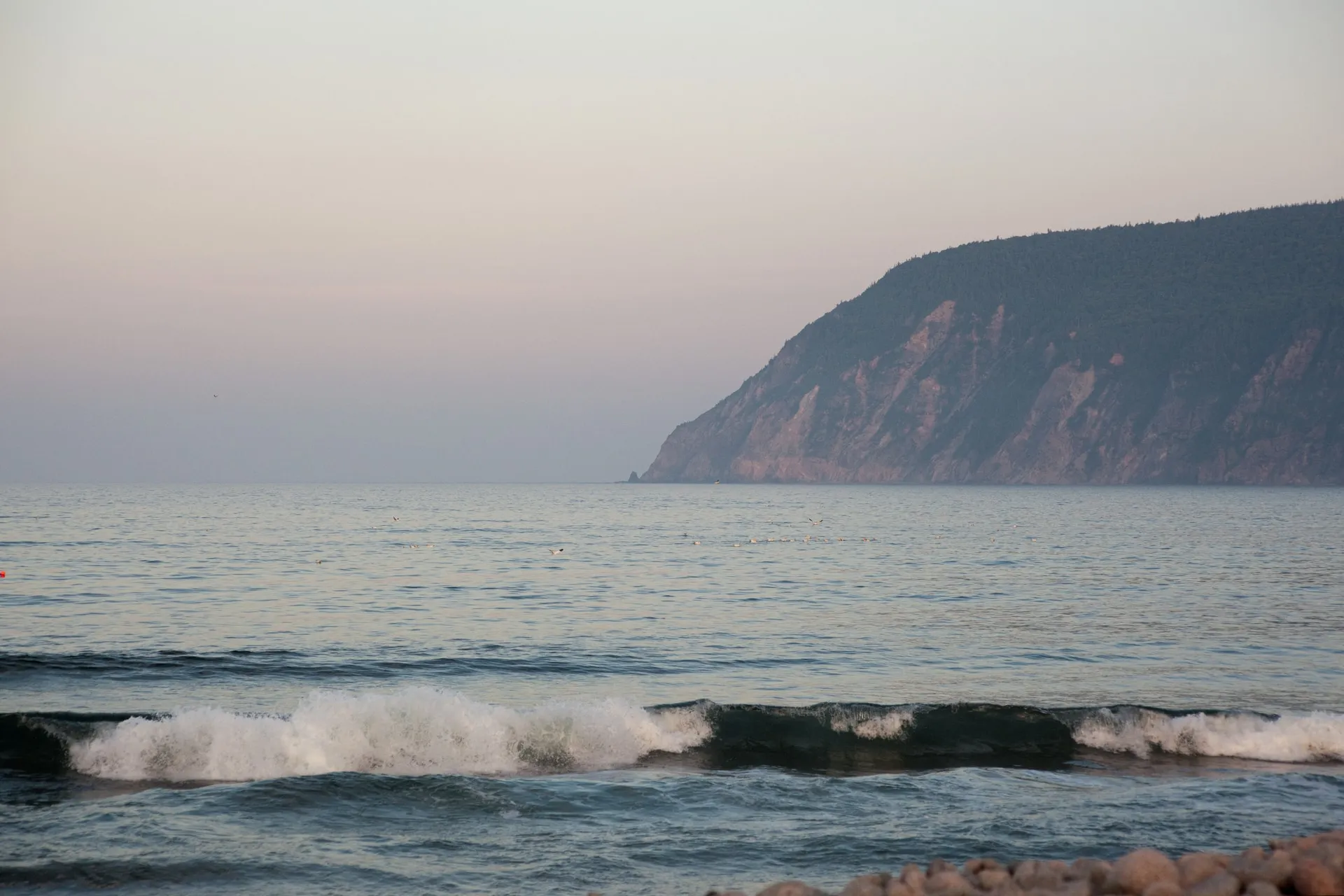 Waves breaking toward a forested cliff across the ocean at dusk.