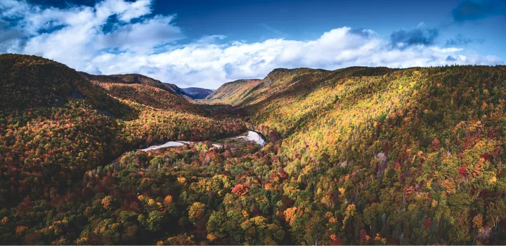Autumn forest filling a Cape Breton valley