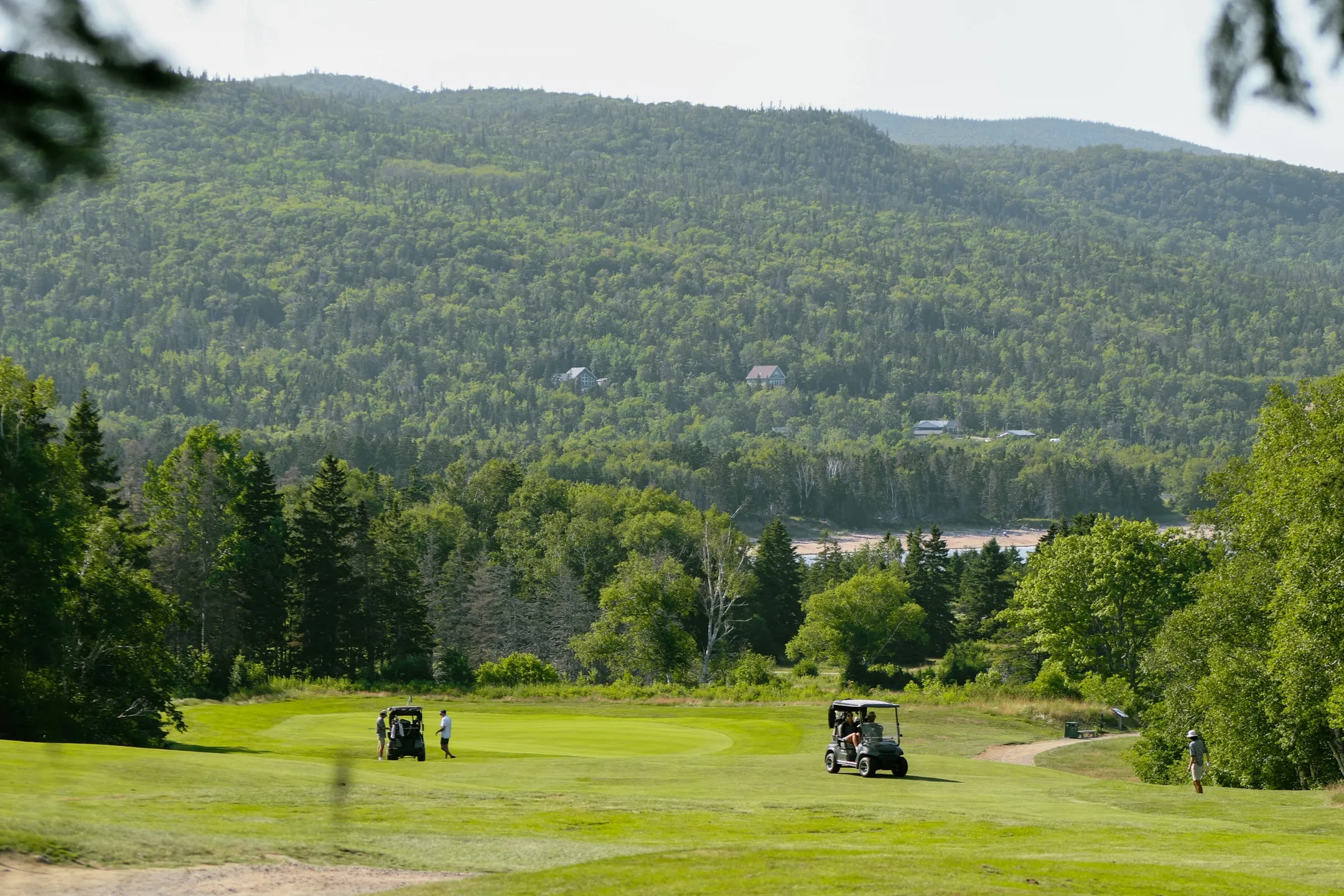 Golfers and carts on a wide fairway, with a forested mountain and a strip of beach beyond the trees.