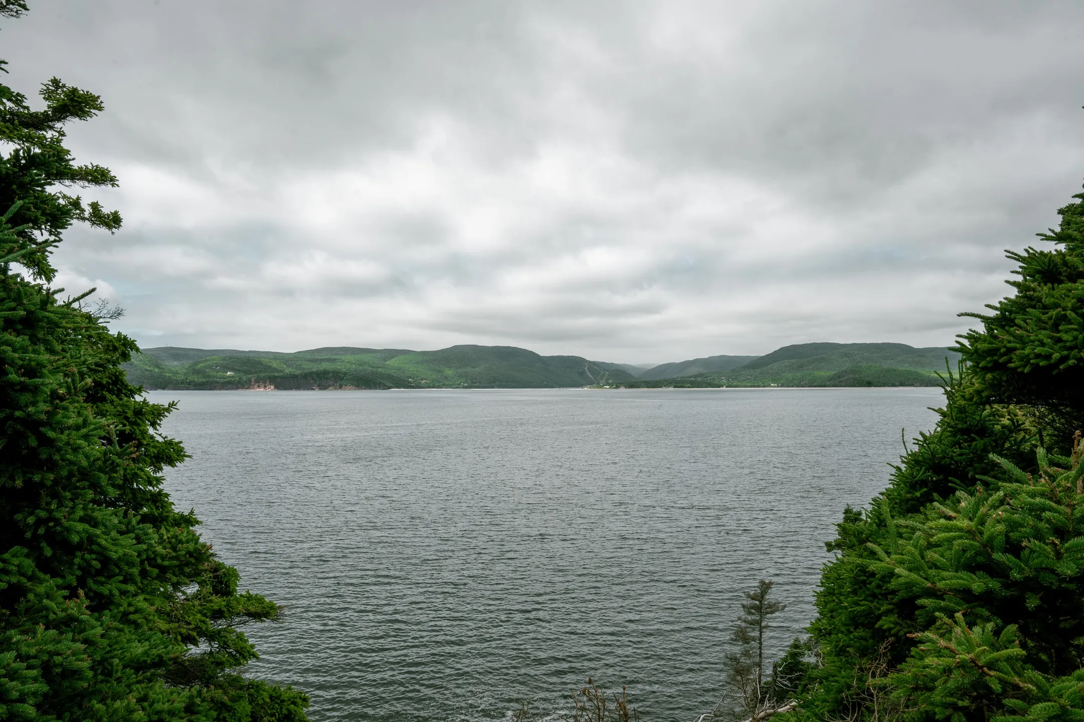 Evergreen trees framing a dark lake with forested hills beyond.