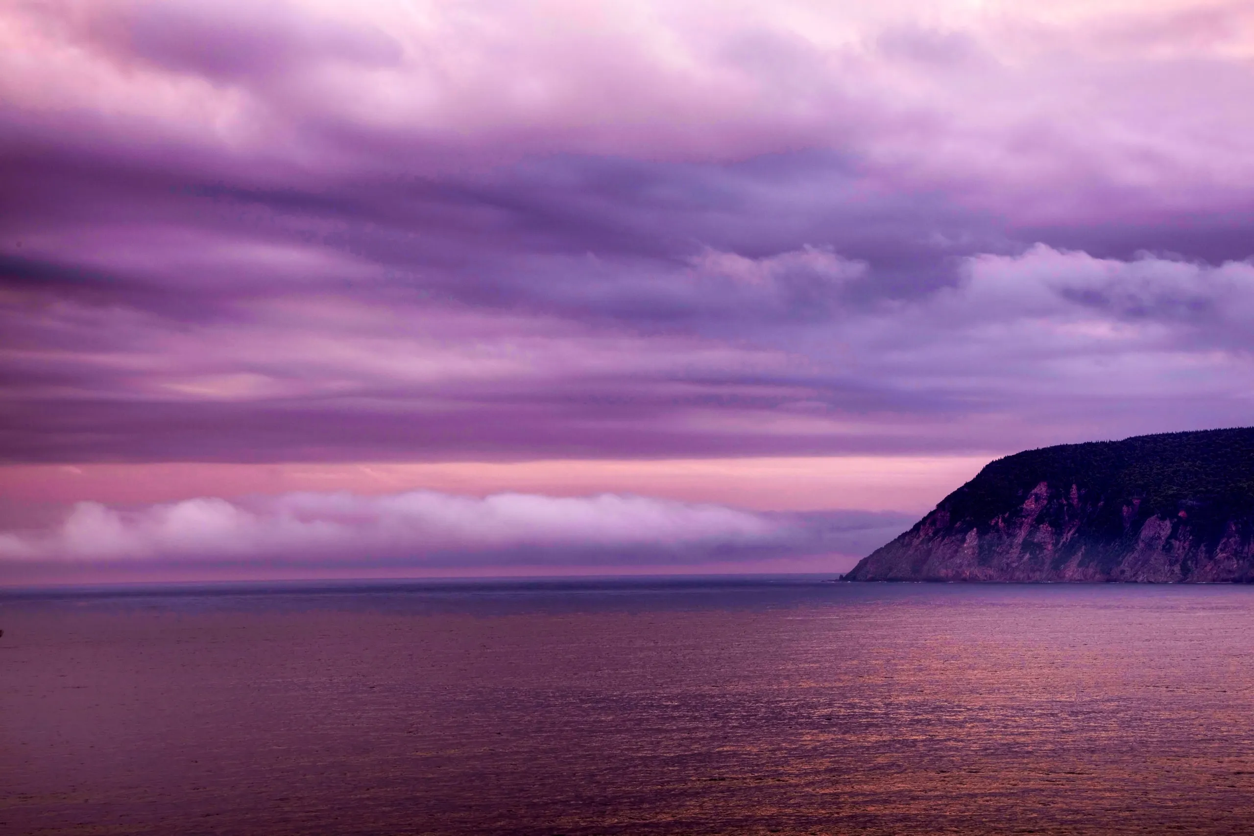 A forested headland under a purple dusk sky above calm water