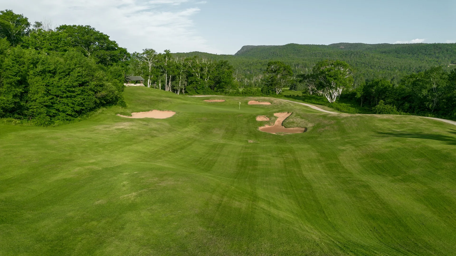 Highlands Links fairway with sand bunkers, birch trees, and forested mountains