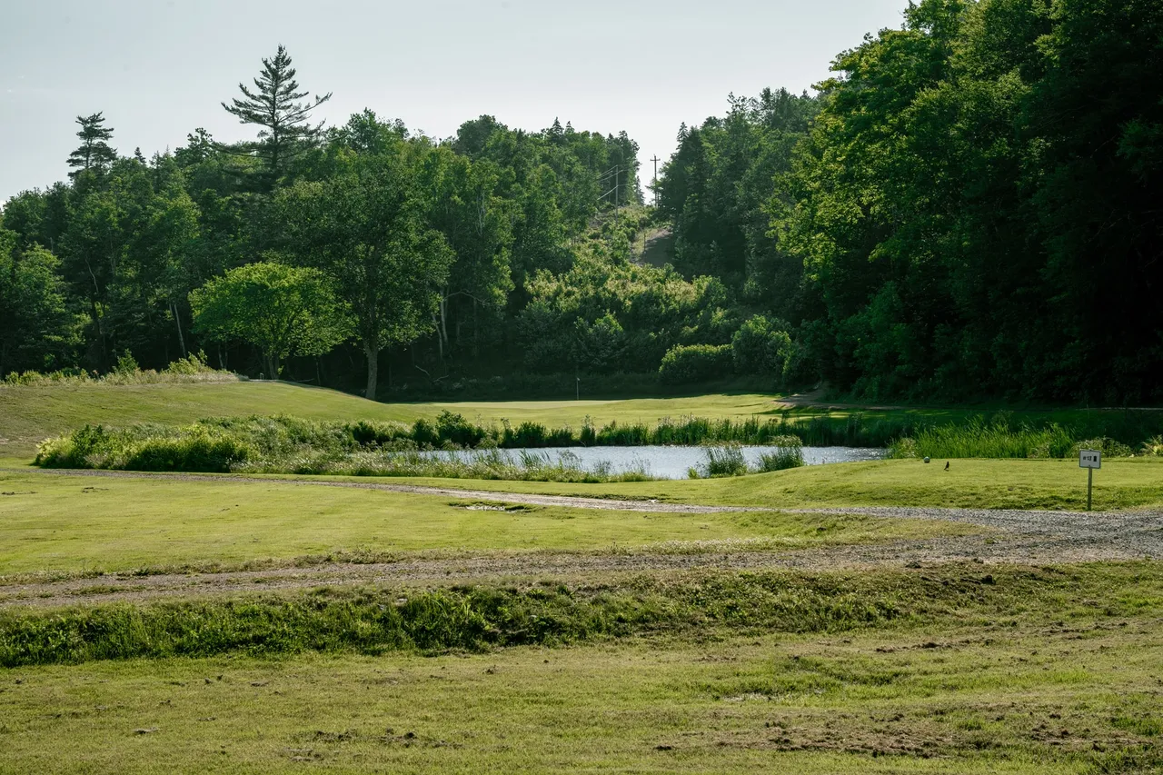 Hole 12 gallery