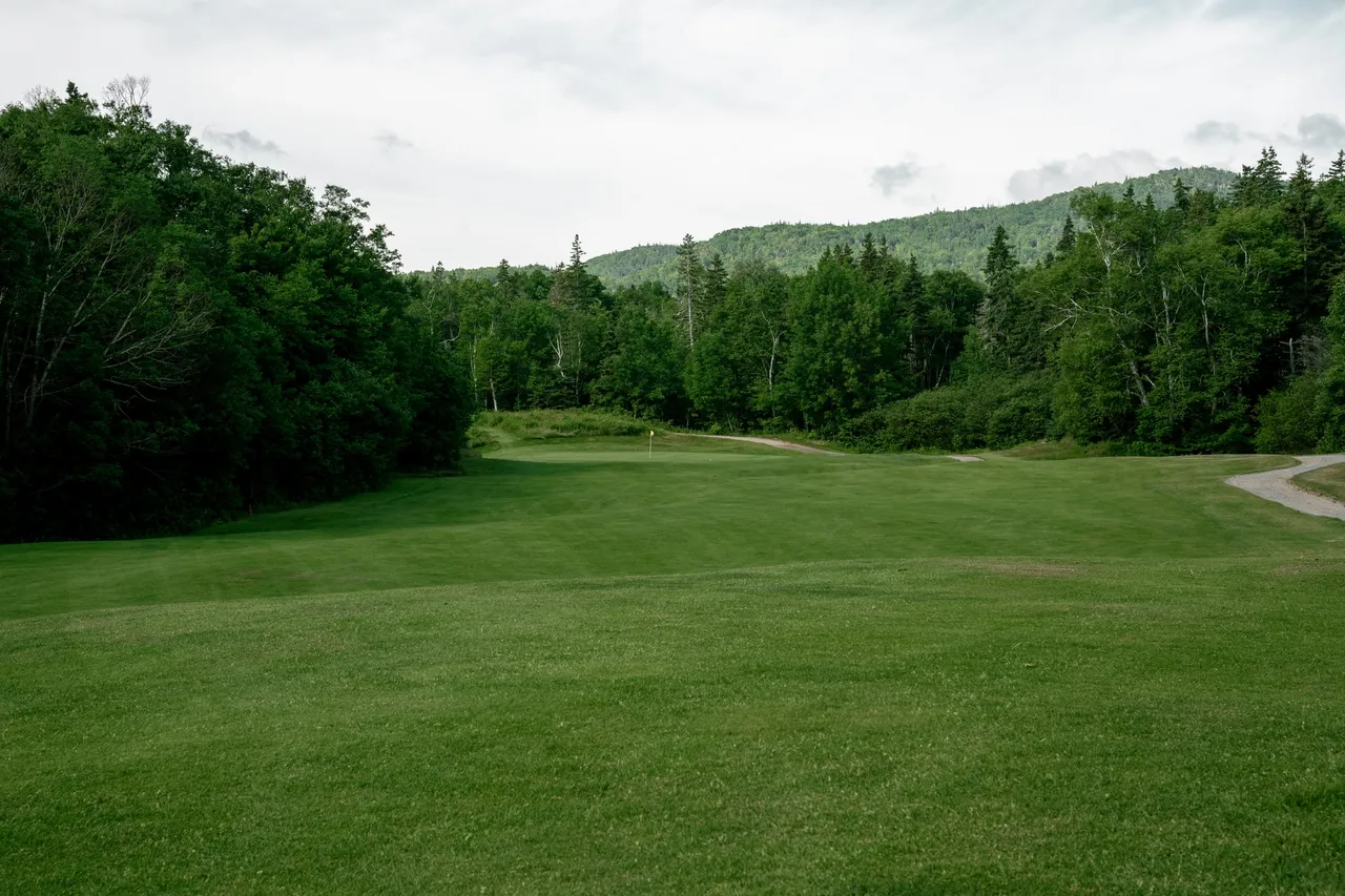 Hole 14 gallery