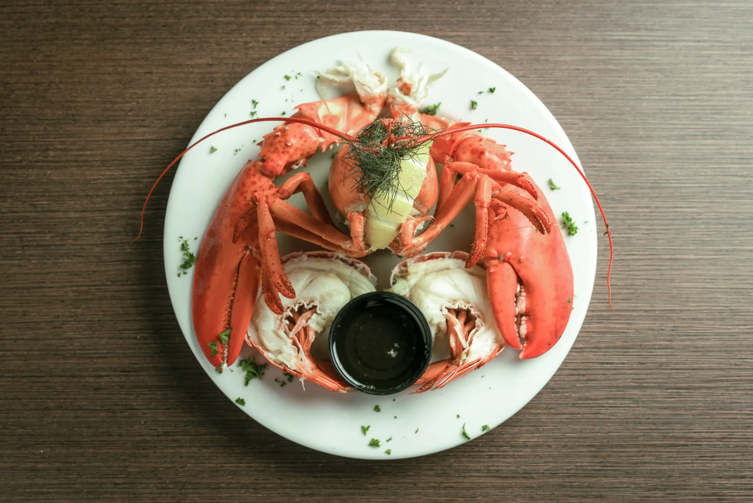 A plated lobster with drawn butter.