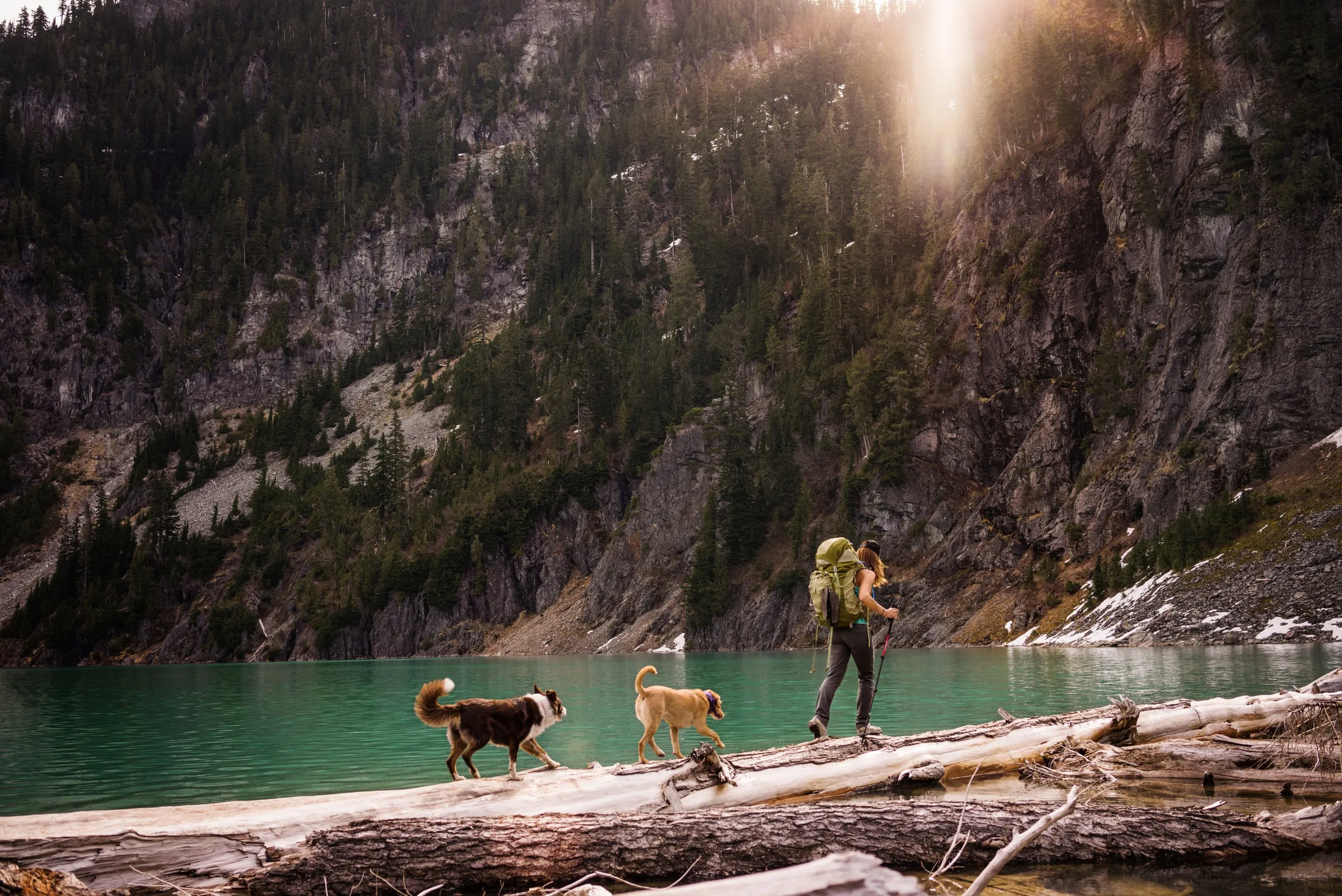 A hiker and two dogs crossing driftwood beside a turquoise mountain lake.