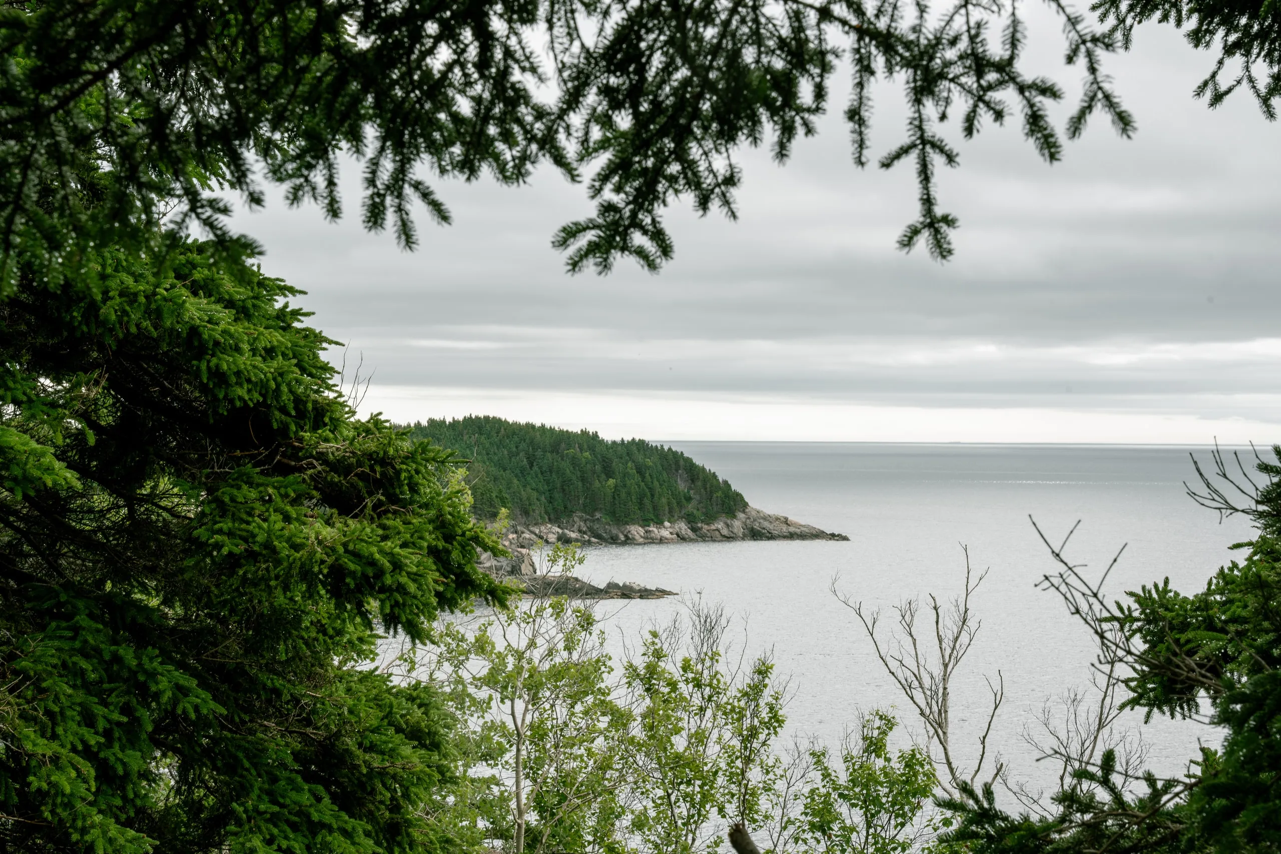Hiking & Outdoor Adventures