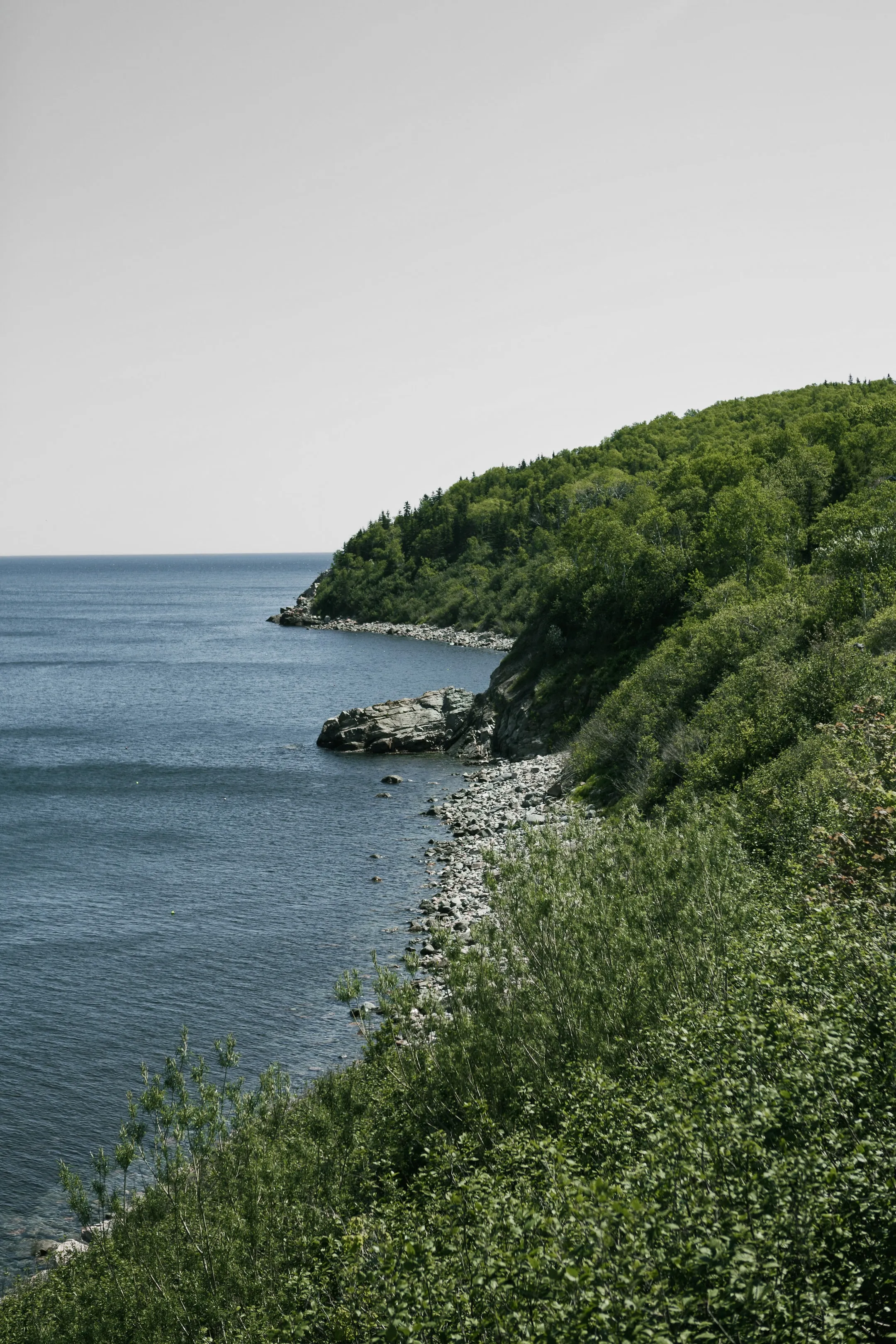 A forested Cape Breton coastline sloping to a rocky shore and open water.