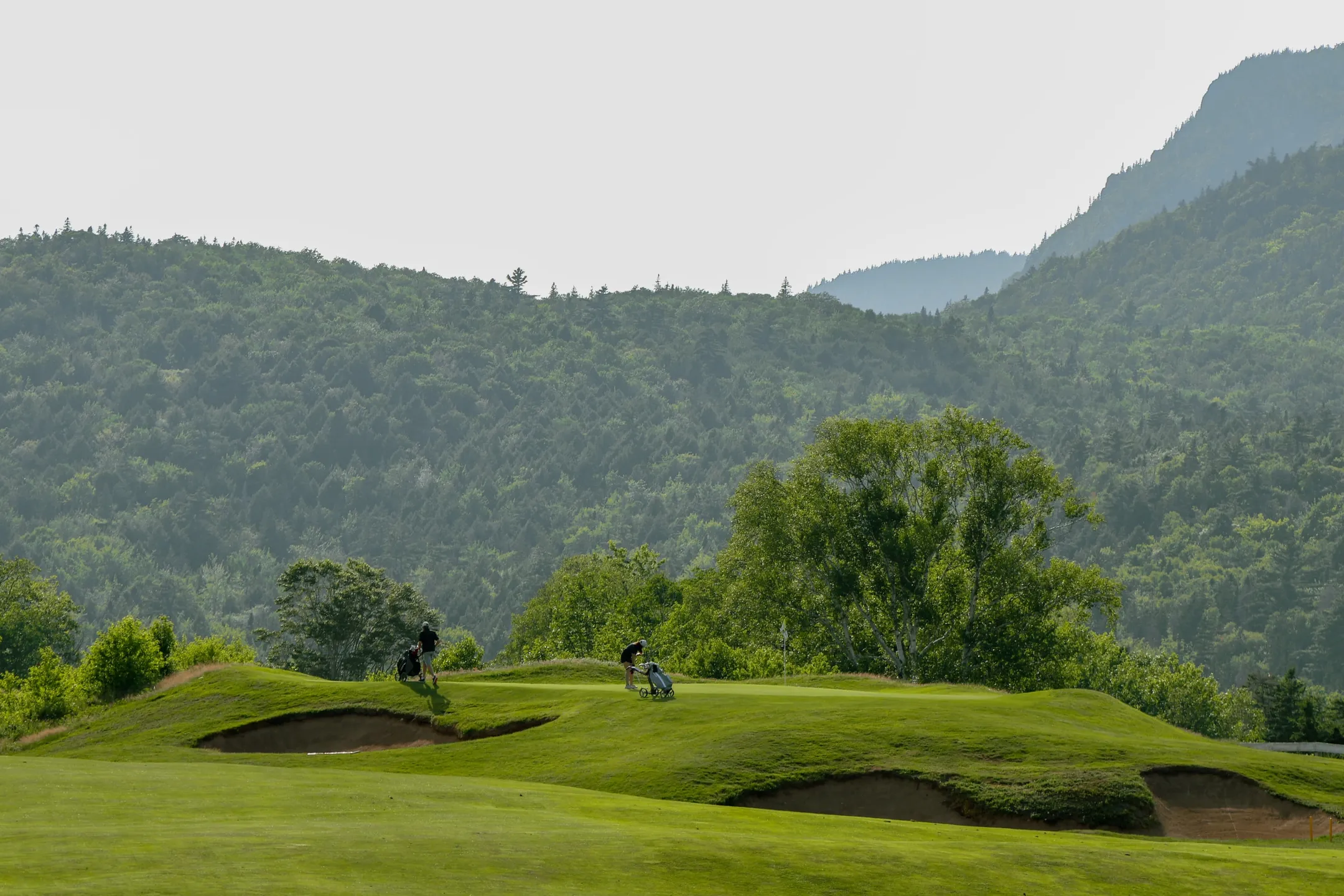 Golfers on a Highlands Links fairway with forested mountains behind them