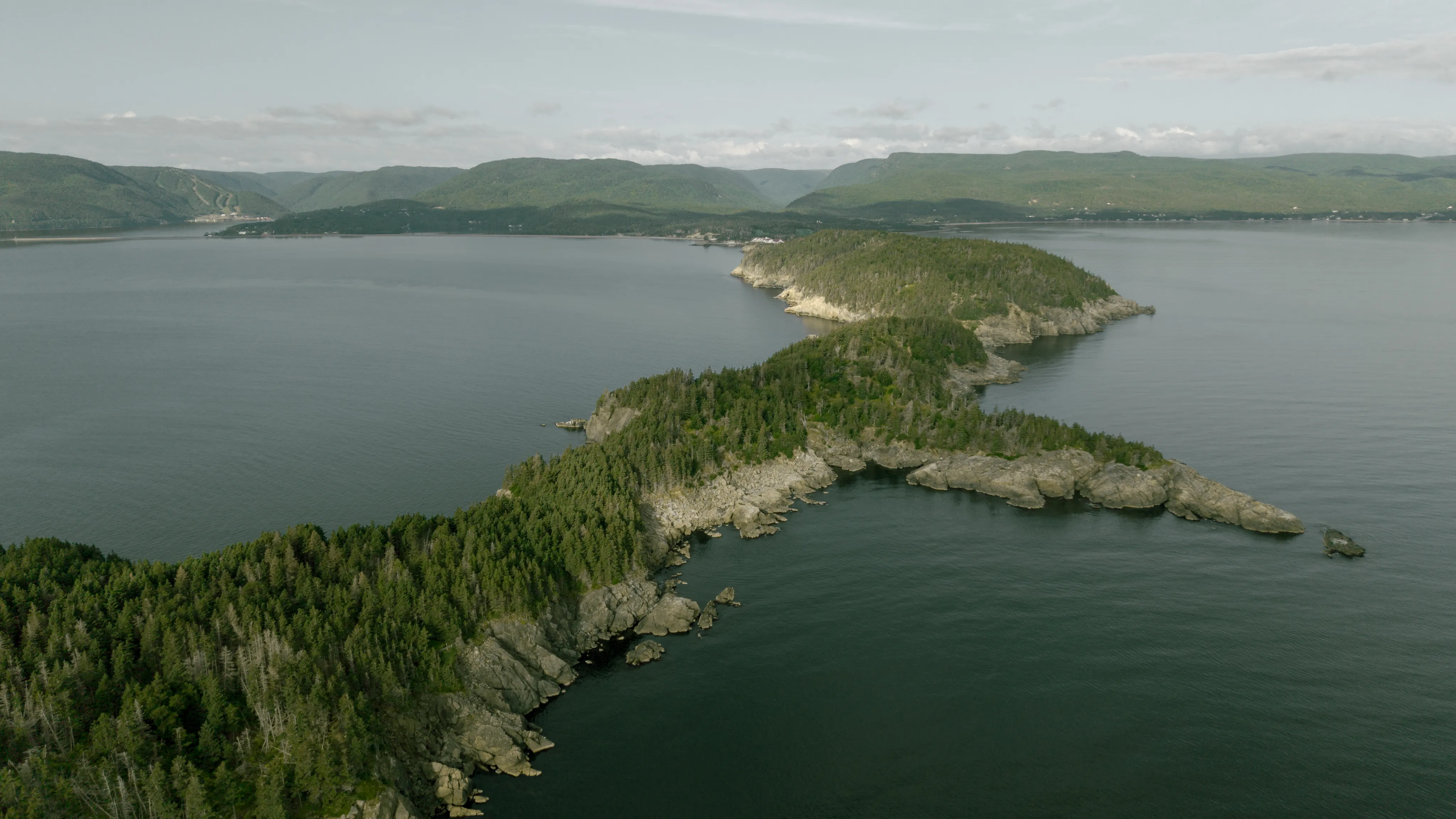 Aerial view of a rocky, spruce-covered peninsula stretching into the ocean, with highland mountains beyond.