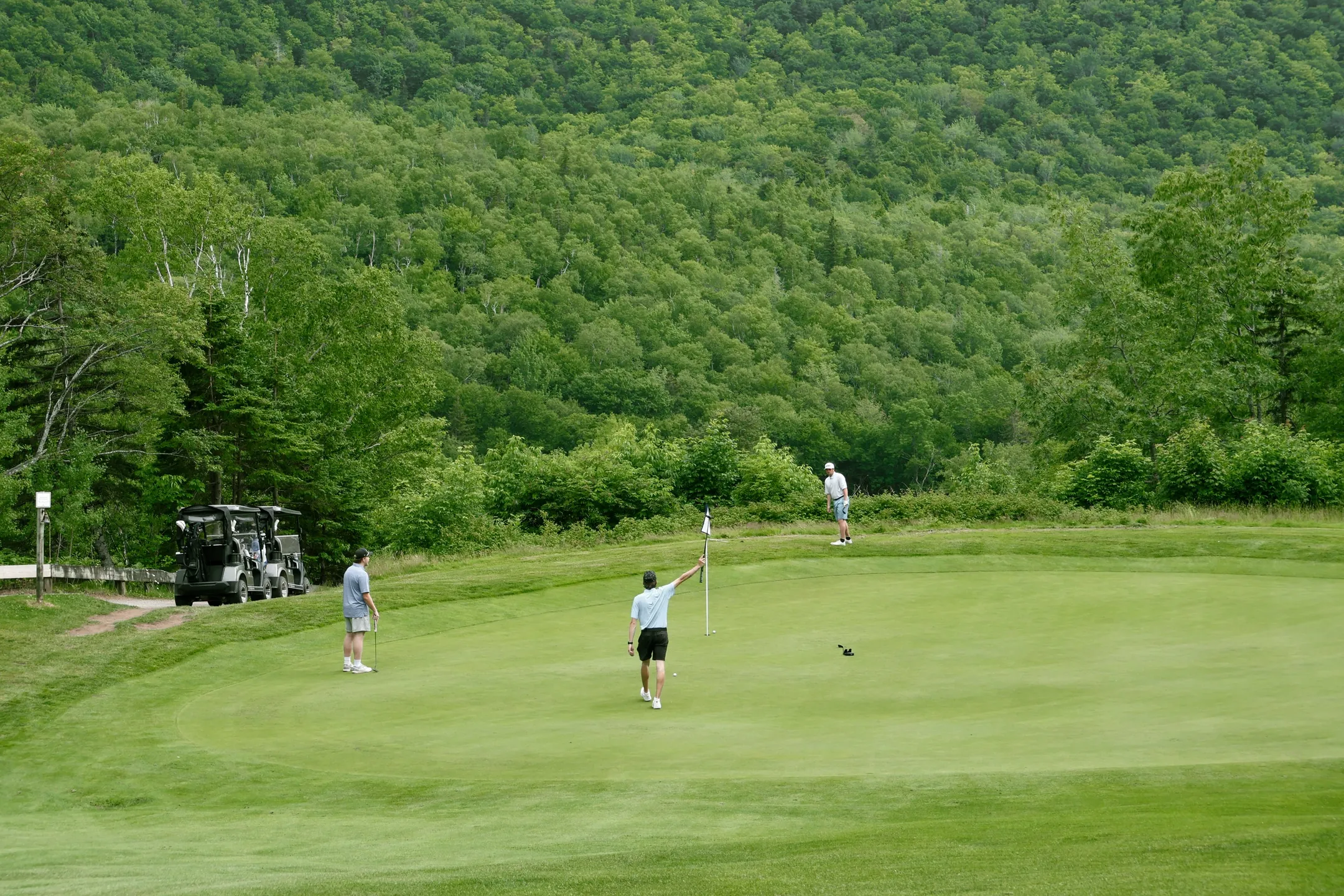 Golfers on a green at Highlands Links, one tending the flag, with carts parked beside a forested hillside.