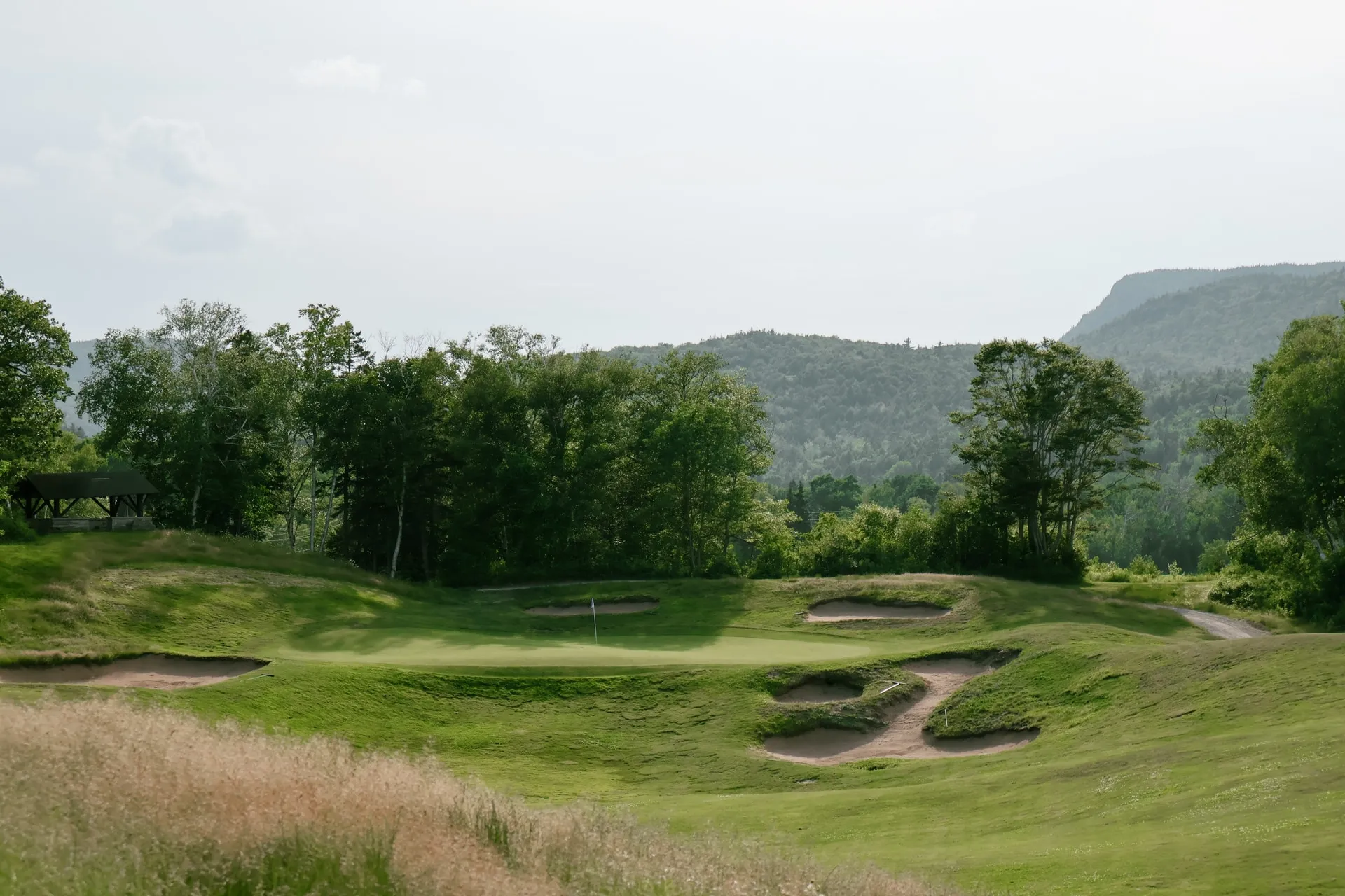 A Highlands Links green ringed by bunkers, with tall grass in the foreground and forested mountains beyond.